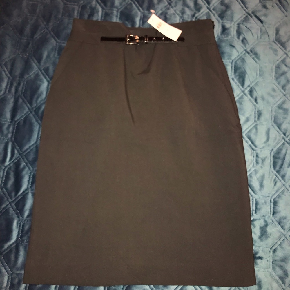 Ann Taylor Petite Skirt